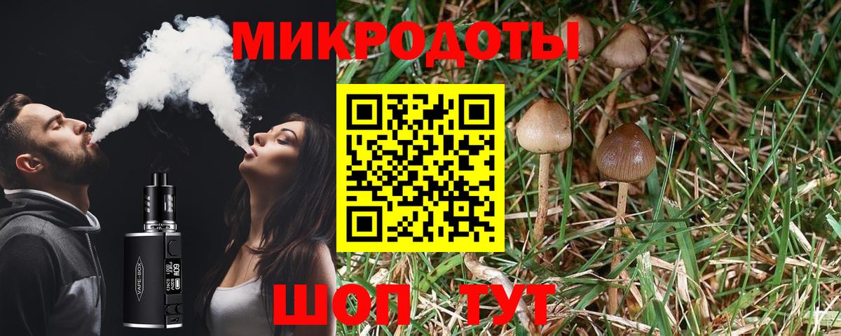 Галлюциногенные грибы мицелий  Вход с VPN  Протвино  Галлюциногенные грибы Psilocybe 