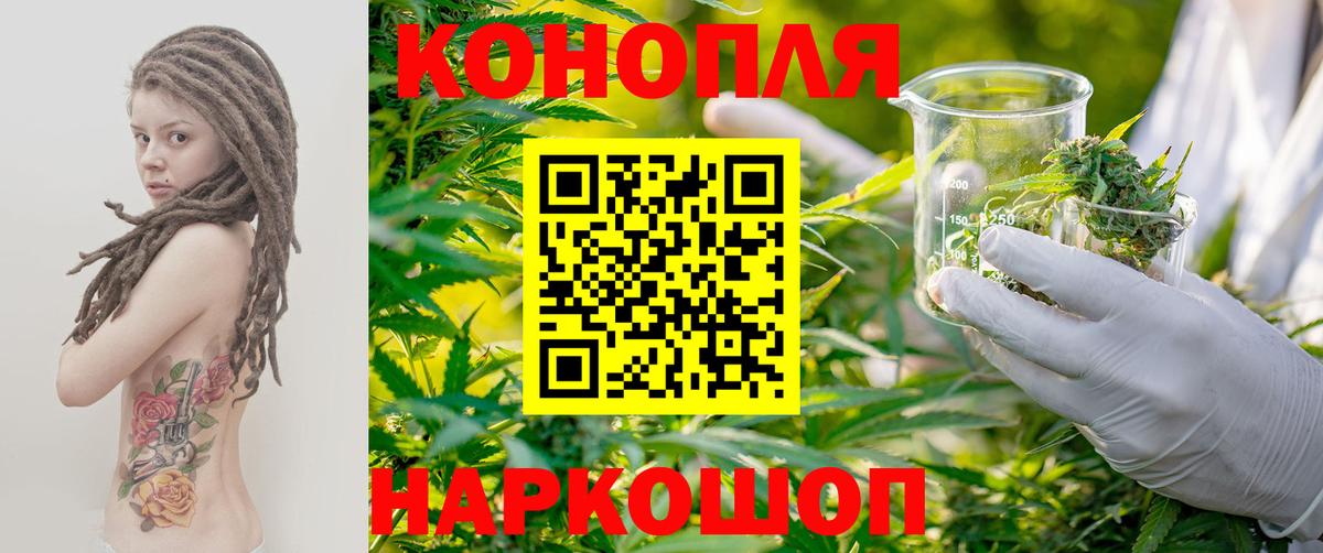 Протвино  Каннабис индика  Каннабис план  Вход с VPN  Бошки марихуана марихуана 